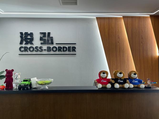 稳健前行 朱德强与his网络企业管理咨询的数字化转型之路